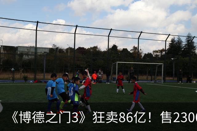 《博德之门3》狂卖86亿！售2300万份 月活仍超200万