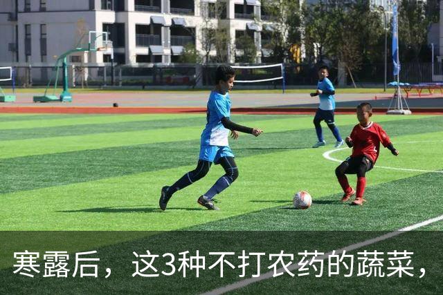 寒露后，这3种不打农药的蔬菜，再贵都要买，强身健体，增免疫