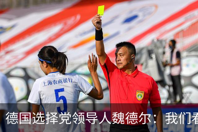 德国选择党领导人魏德尔：我们看到法国和德国的骚乱，应驱逐移民
