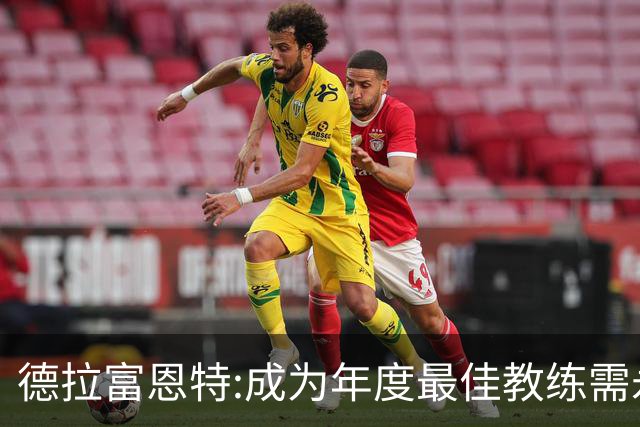 德拉富恩特:成为年度最佳教练需永不言弃 西班牙胜利在于坚守理念