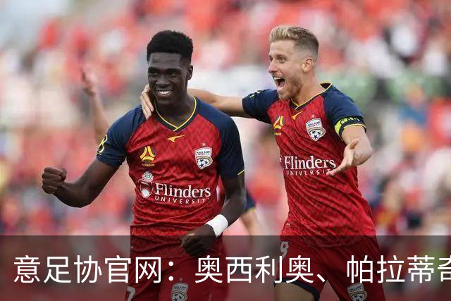 意足协官网：奥西利奥、帕拉蒂奇科维尔恰诺授课