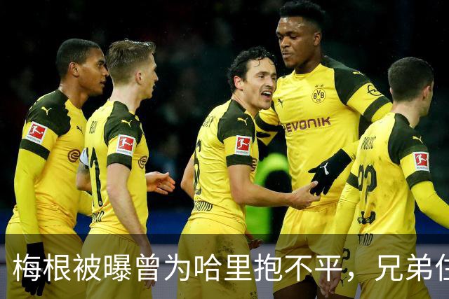 梅根被曝曾为哈里抱不平，兄弟住所差距明显，认为丈夫待遇应更好
