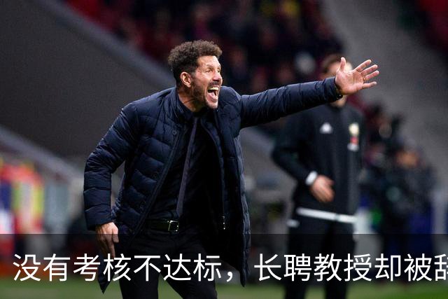 没有考核不达标，长聘教授却被辞退？当终身教职也成了随时可能被淘汰的弃子，高校教师的安全感还剩多少？