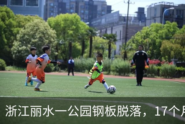 浙江丽水一公园钢板脱落，17个月大幼童被砸身亡