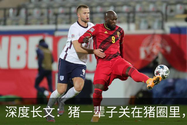 深度长文：猪一辈子关在猪圈里，为什么不会"憋疯"抑郁？其实它会