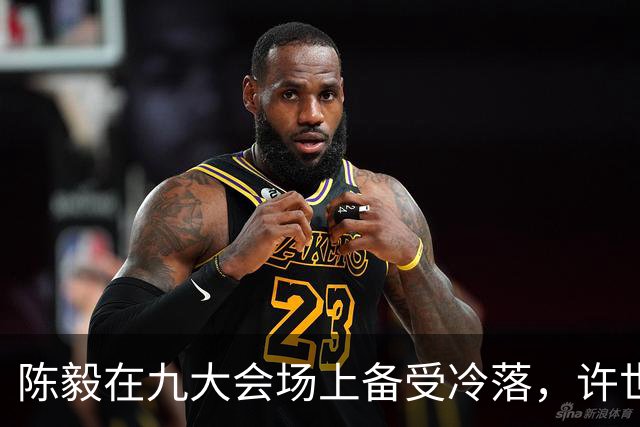 陈毅在九大会场上备受冷落，许世友：陈老总，我有礼物送给你